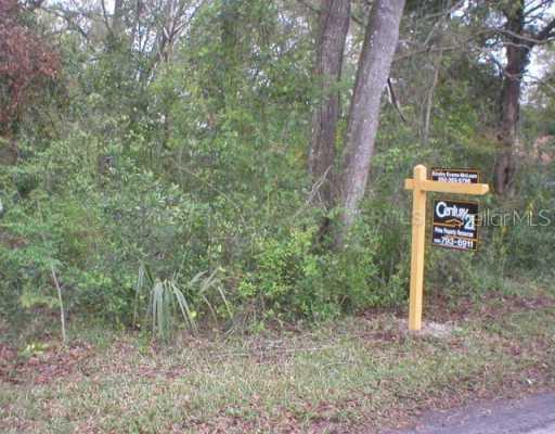 Third Ave., Wildwood, FL 34785