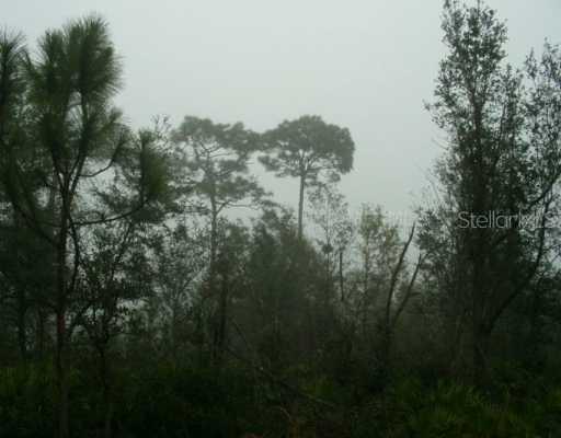 N Groveland Farms Rd., Groveland, FL 34736