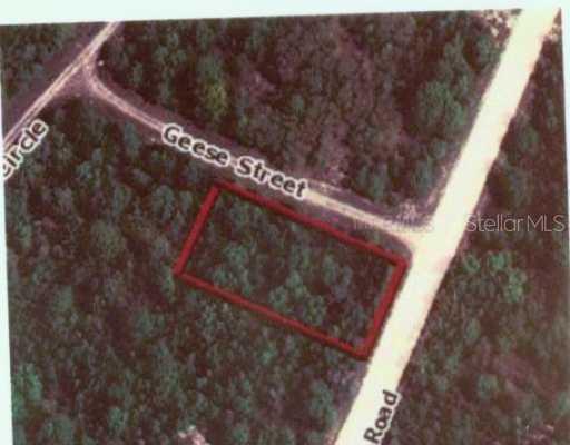 11497 Marvelwood Rd., Weeki Wachee, FL 34614