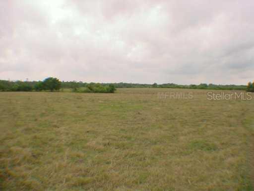 Twin Lakes Dr., Groveland, FL 34736