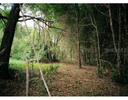 State Road 19 Hwy., Altoona, FL 32702