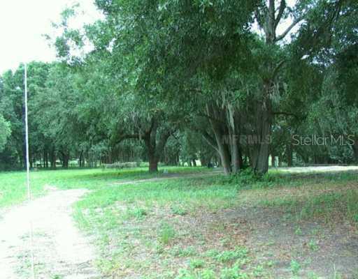 24410 Wolf Branch Rd., Sorrento, FL 32776