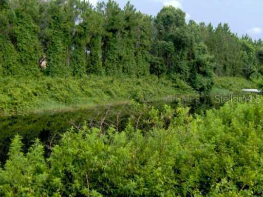 Lisa Dr., Tavares, FL 32778