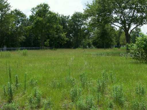 Rolling Oak Dr., Sorrento, FL 32776