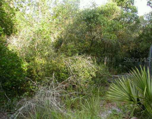 Lot 42 West Lake, DeLand, FL 32720