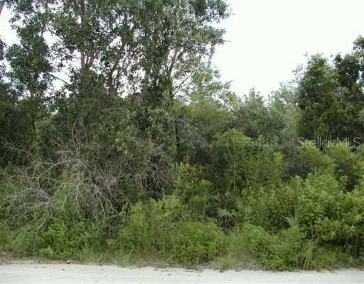 43028 Jewell Dr., DeLand, FL 32720