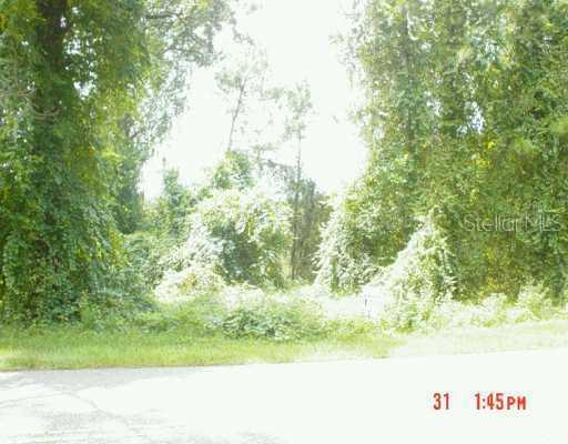 Fisherman's Rd., Paisley, FL 32767