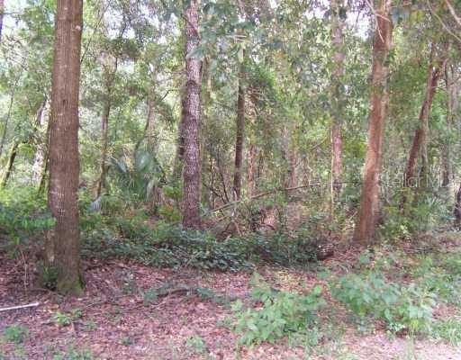 Bobcat Rd., Altoona, FL 32702