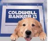 SE 174 Th St., Summerfield, FL 34491