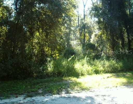 8985 W C-476, Bushnell, FL 33513