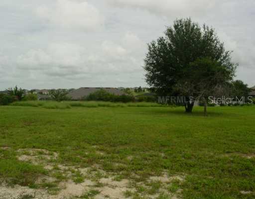 13715 Calle De Ora Ct., Clermont, FL 34711