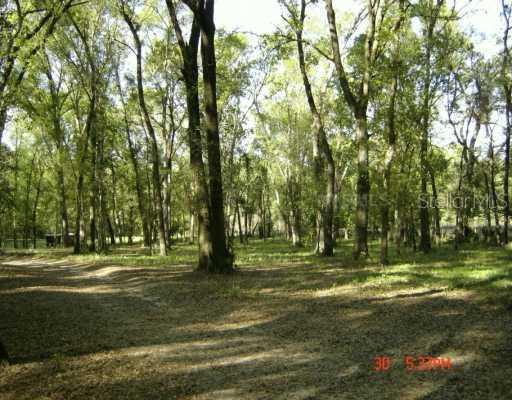 East Second Ave., Umatilla, FL 32784