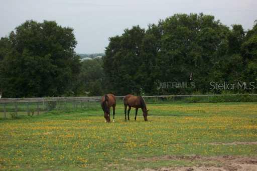 12598 Se 170 St., Weirsdale, FL 32195