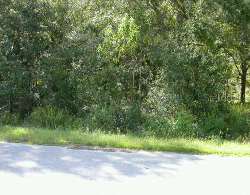 Se 157th Pl Pl., Summerfield, FL 34491