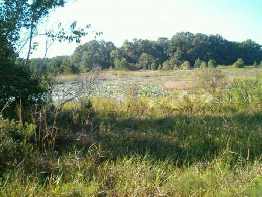 Sandwich Pl., Sorrento, FL 32776