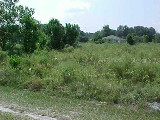 Se 36th Ct., Summerfield, FL 34491