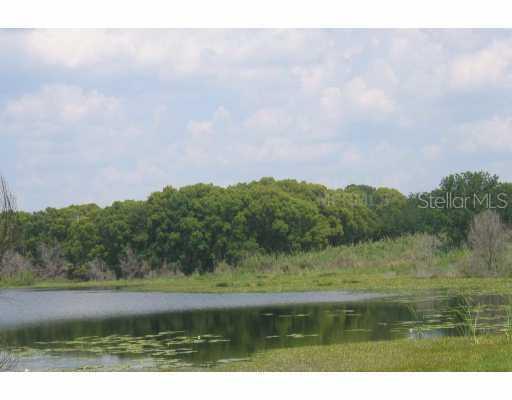 Equine Ln., Altoona, FL 32702