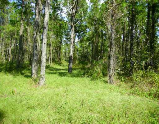 Edgehill Rd., Groveland, FL 34736