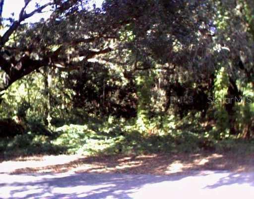 8807 High St., Yalaha, FL 34797