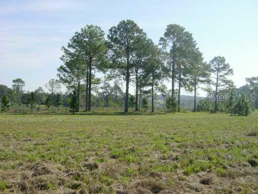 Arrowtree Blvd., Groveland, FL 34746