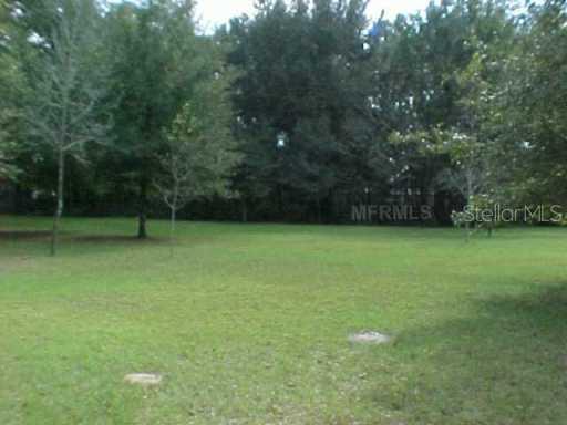 Se 139th Ln., Summerfield, FL 34491