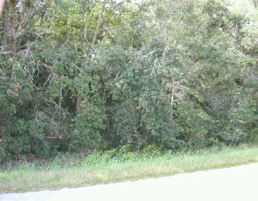 160 Pl Pl., Summerfield, FL 34491