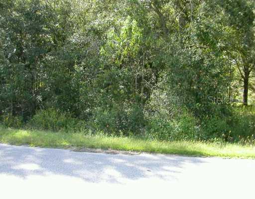 Se 162 St St., Summerfield, FL 34491