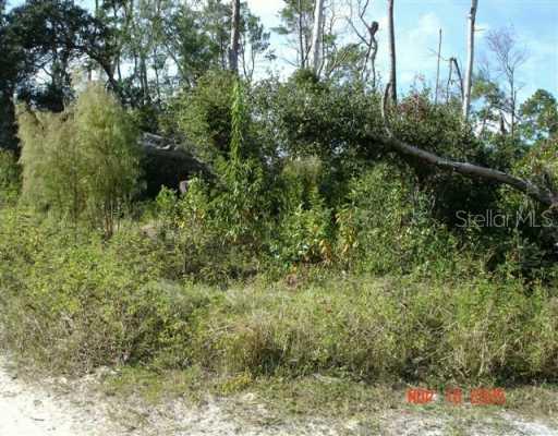 Scrub Oak Ln., Eustis, FL 32736