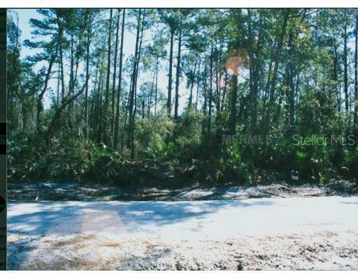 Property Location Is Not Rd., DeLand, FL 34748