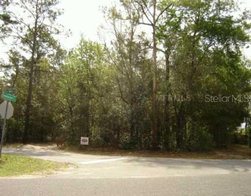 Pine Valley Dr., Sorrento, FL 32776