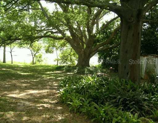 Sunrise Ter., Umatilla, FL 32784