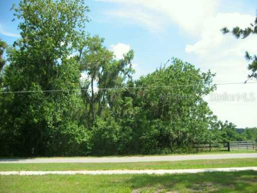 Porter Ave., Montverde, FL 34756