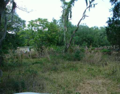 4085 NE 44th Way, Wildwood, FL 34785