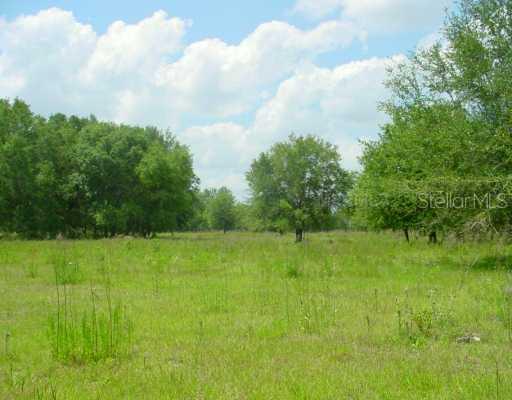 SE 34th Way, Sumterville, FL 33585