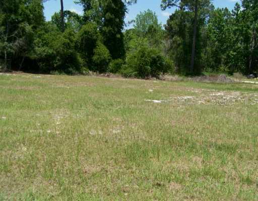 Se 211th Ave., Umatilla, FL 32784