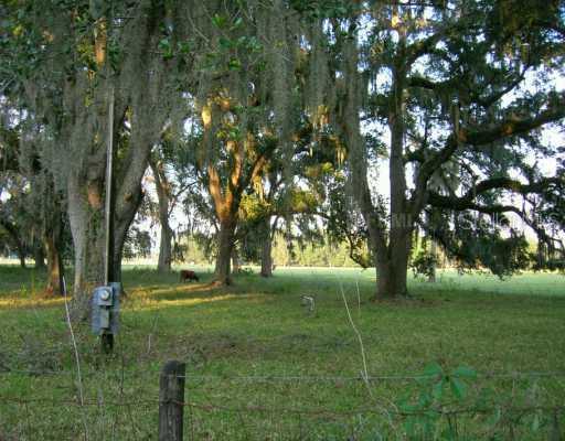 Cr 727 Rd., Webster, FL 33597