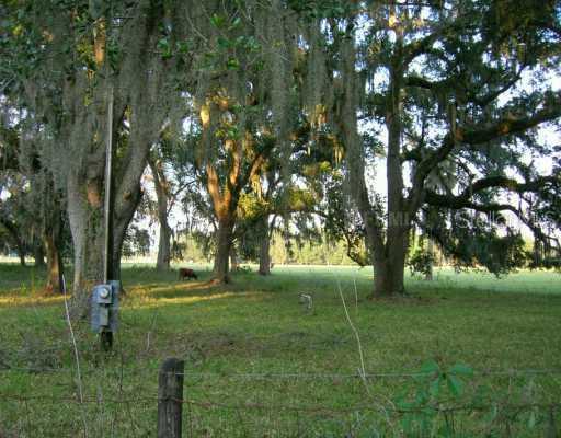 Cr 727 Rd., Webster, FL 33597