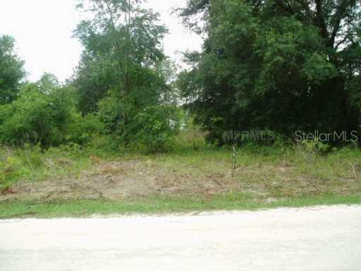 Se 140 Pl., Summerfield, FL 34491