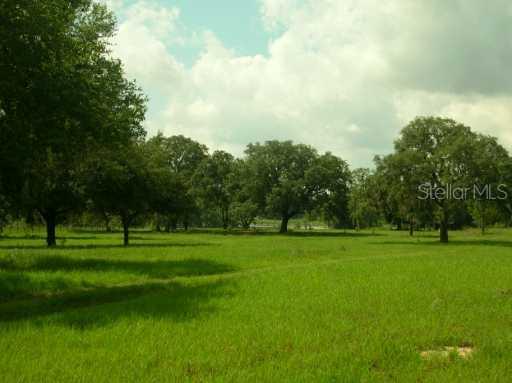 14622 County Road, Clermont, FL 34715