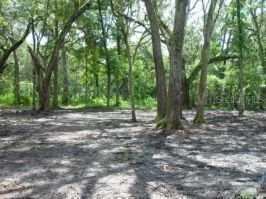 Cr423, Lake Panasoffkee, FL 33538