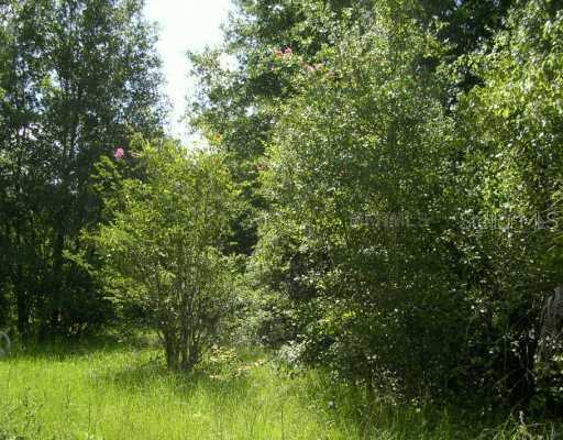 38650 Marshall St., Umatilla, FL 32784