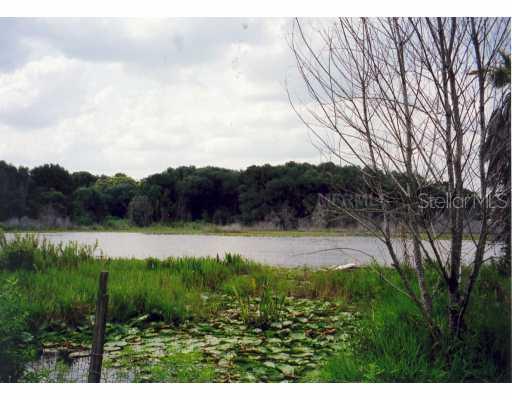 25955 Se 42 Hwy., Umatilla, FL 32784