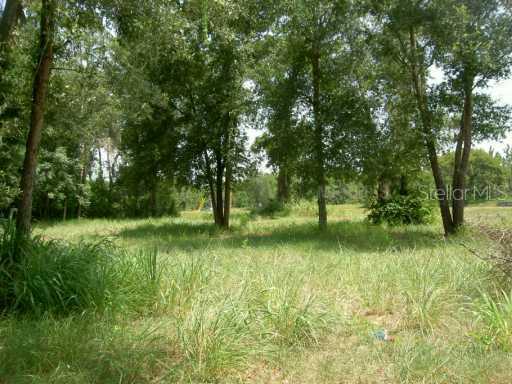 6739 Osage Dr., Mount Dora, FL 32757