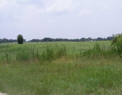 Sharon Rd., Groveland, FL 34736