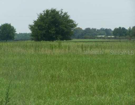 Sharon (k&t) Rd., Groveland, FL 34736
