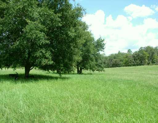 Eden Ln., Groveland, FL 34736