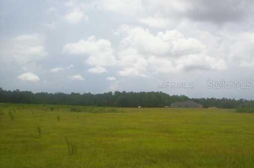 Bayamon Avenue, Polk City, FL 33868