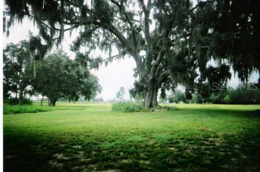 17525 Tuscanooga Rd., Groveland, FL 34736