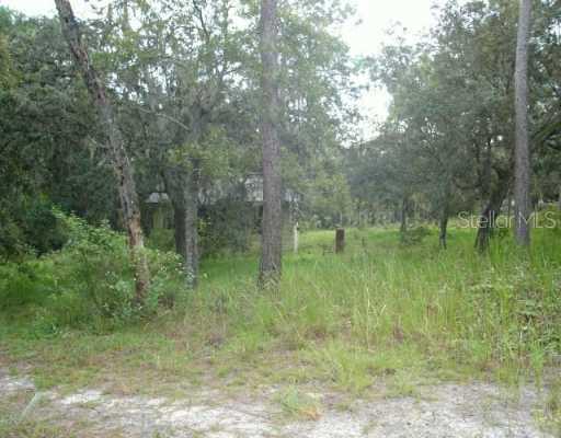 12393 Sw 42nd Way, Webster, FL 33597