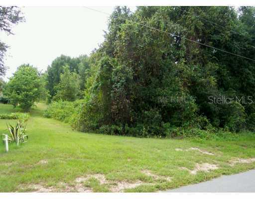 East Revels Rd., Howey In The Hills, FL 34737